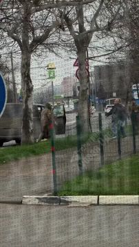 � ������ ����� ����� �������������� ����� � ������ �� ���� � ����