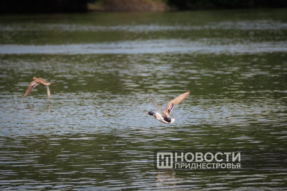 �������� ������������� � ������� �������� ������������� �������� �������