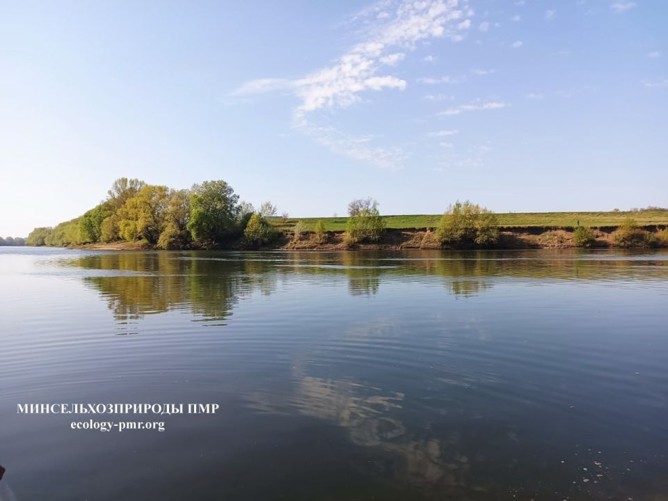 ����������� � ���������� ���������� �������