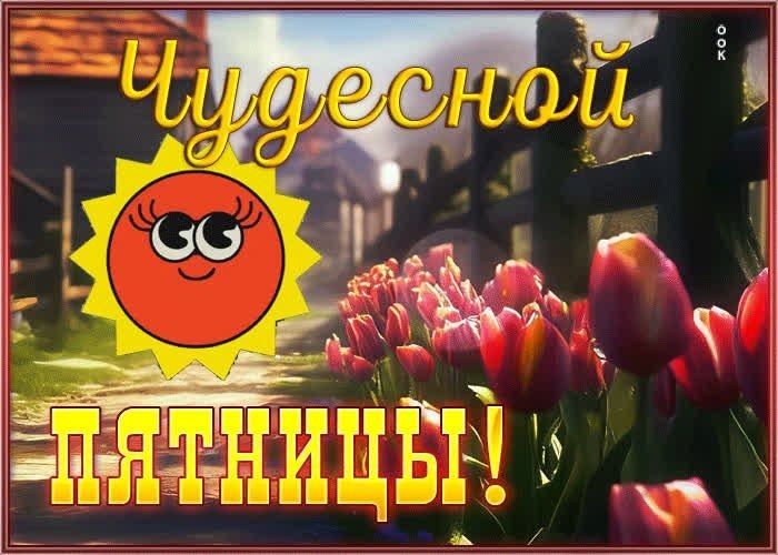 3 ������ � �������, � ��� ��� ��������