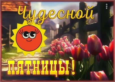 3 ������ � �������, � ��� ��� ��������