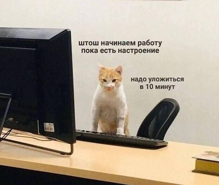 ����������� ����� ������� ��������� � ���� ���