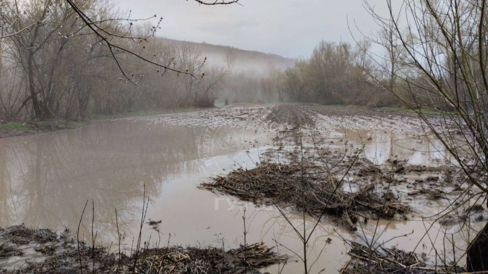 � ���� ����������� ���������� ������ ������� ������ � ������, ��������� ����� �������, ����� ��������� ����� ��������������