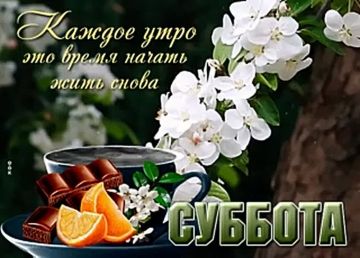 4 ������ � ����, ���������� �����������