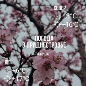 Днём – до +17°С