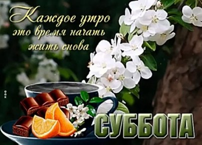 4 ������ � ����, ���������� �����������