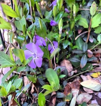 � ������� ����������� � �� ������ ��������� ����������, � ��������� ������� �����