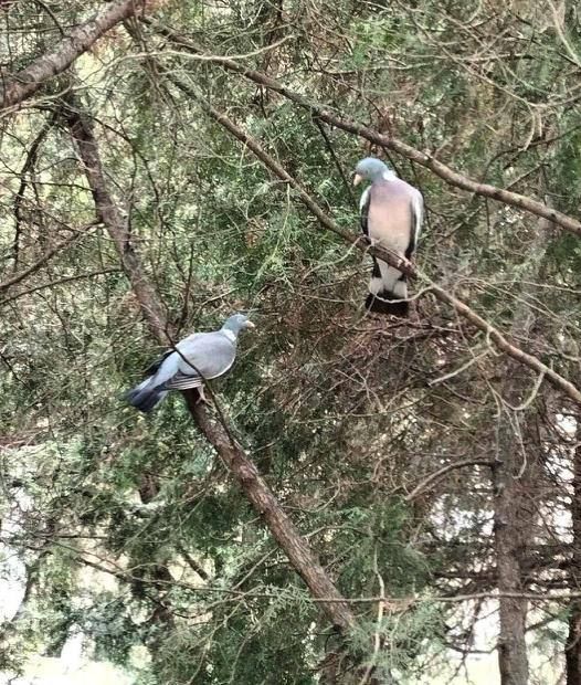 ����� ������ ������-������ �������� � ����������