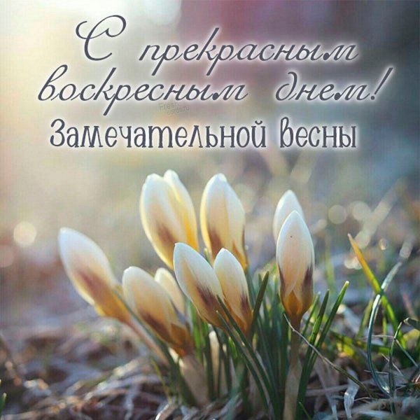 5 апреля - чудесное воскресенье!