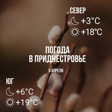 Днём – до +19°С, без осадков