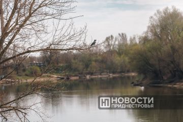 В Приднестровье идет похолодание