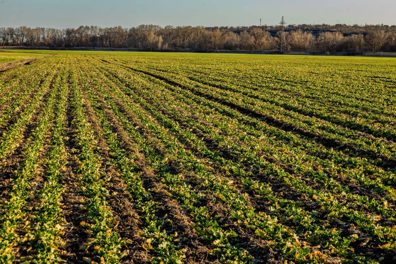 По всему Приднестровью стартовали весенние полевые работы — один из ключевых этапов аграрного сезона По всему Приднестровью стартовали весенние полевые работы — один из ключевых этапов аграрного сезона