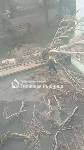 ����������� ���������� ����� � ������� ������������� ����� ��� �����