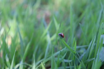 �������� ������� � ������������� �����������