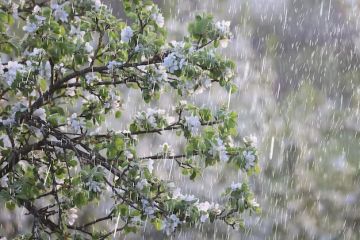 � ������������� ��������� ������ ����������� � �����