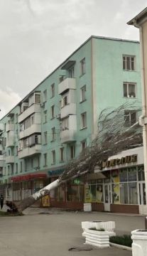 � ������� ������ ����� �� �������