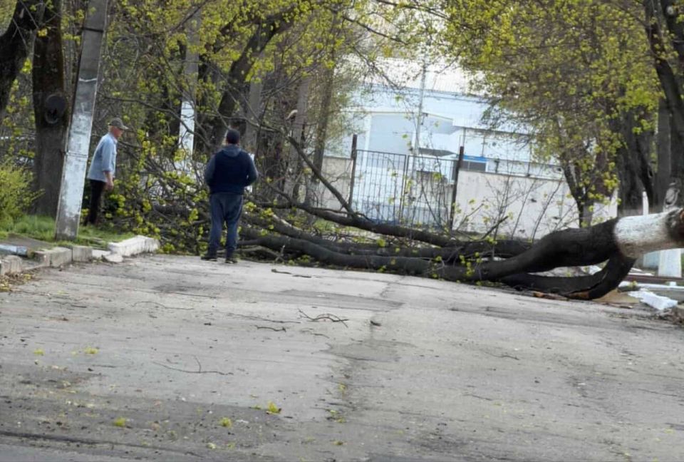 �� �������� � ���� � ��������, ����� �������� ������