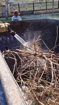 ������ ��� ��������� �������� �������� ����� � �������� �����