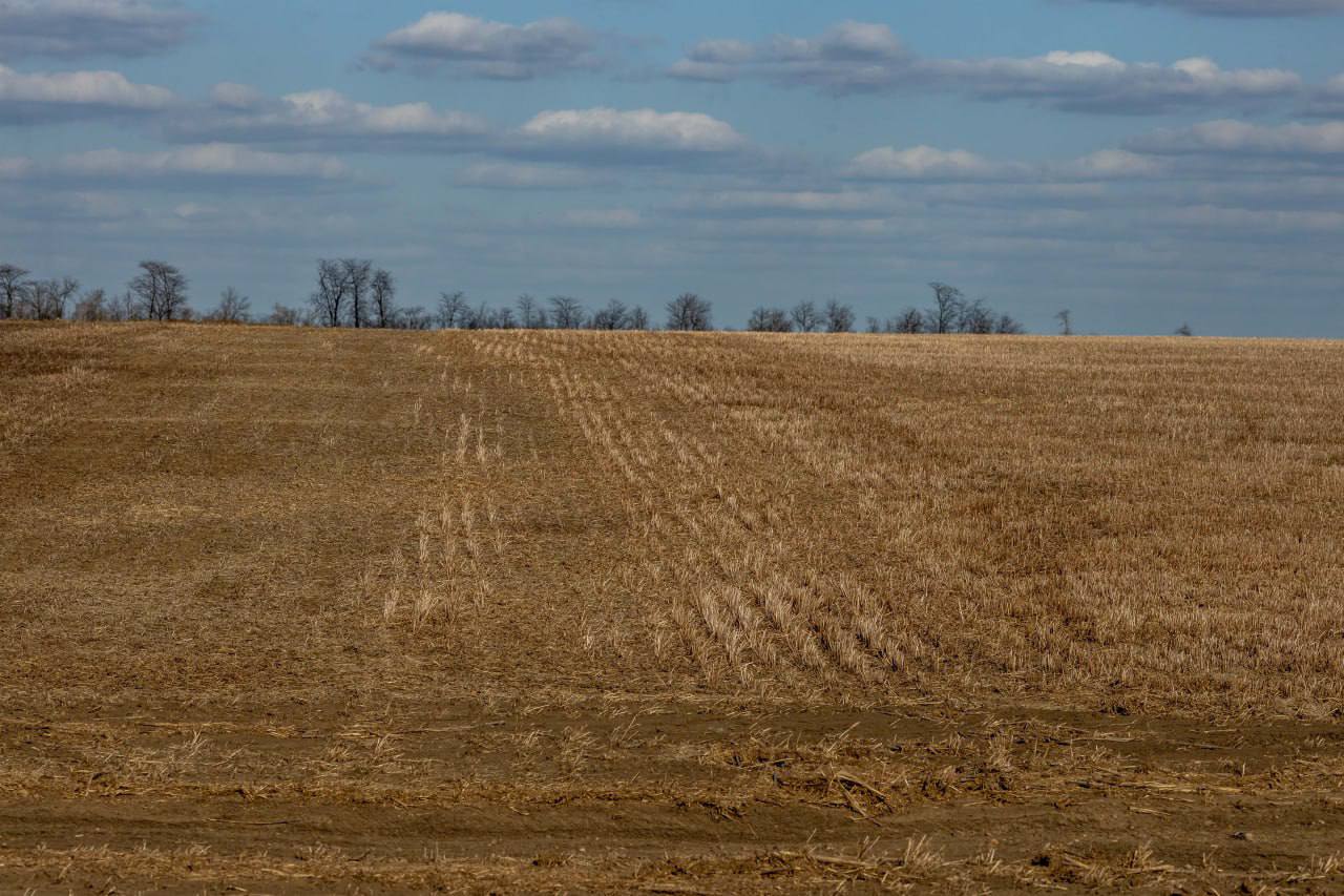По всему Приднестровью стартовали весенние полевые работы — один из ключевых этапов аграрного сезона По всему Приднестровью стартовали весенние полевые работы — один из ключевых этапов аграрного сезона