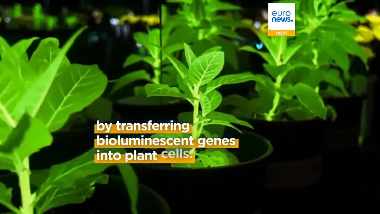 Китайцы будут освещать города