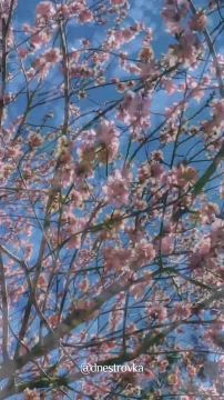 Дендропарк в весенней палитре