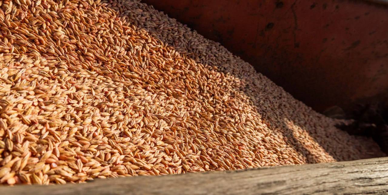 По всему Приднестровью стартовали весенние полевые работы — один из ключевых этапов аграрного сезона По всему Приднестровью стартовали весенние полевые работы — один из ключевых этапов аграрного сезона