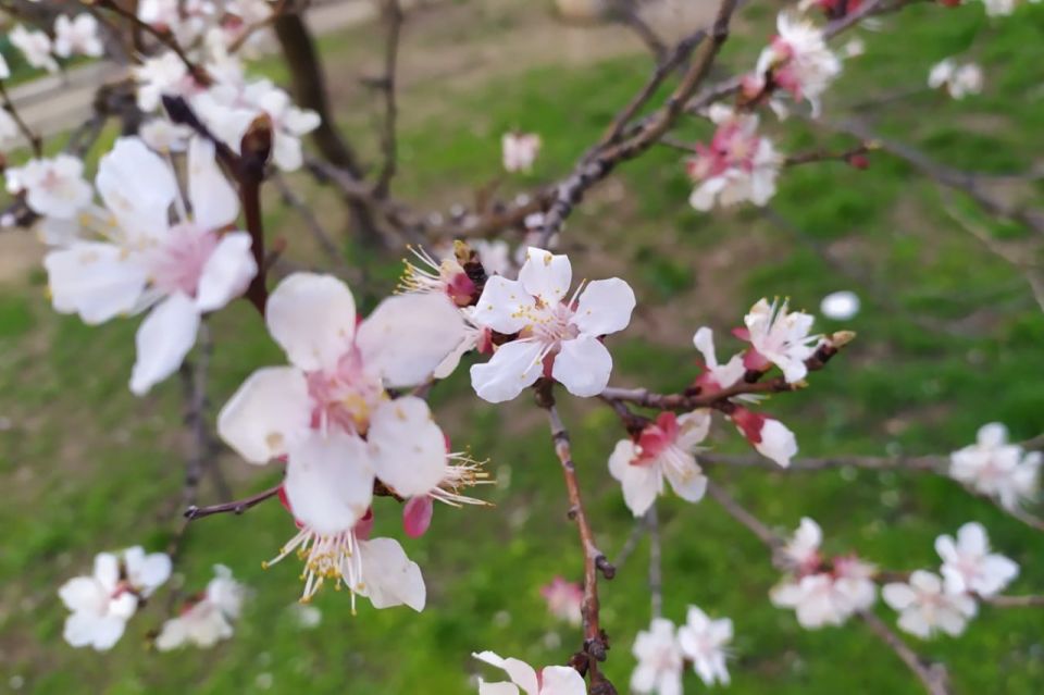 ������� ������ �� �������, 6 ������