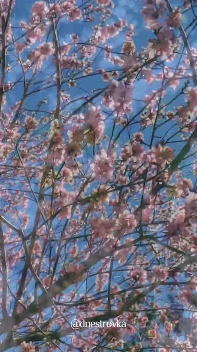 ���������� � �������� �������