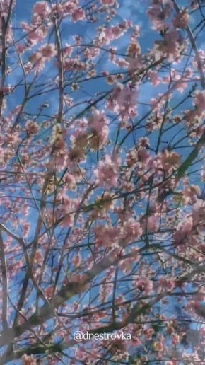 ���������� � �������� �������