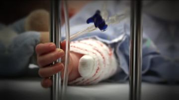 ��������� �� �����. � ���������� ����� ������ � ������� ��������� ���������� ������� � ���������� ������������ ������� 2-3-� ������� � ���� ����������������� � ����������