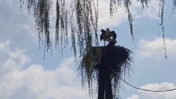 � ���������� ��������� ����� � ���������, ���������������� � ������������ �����