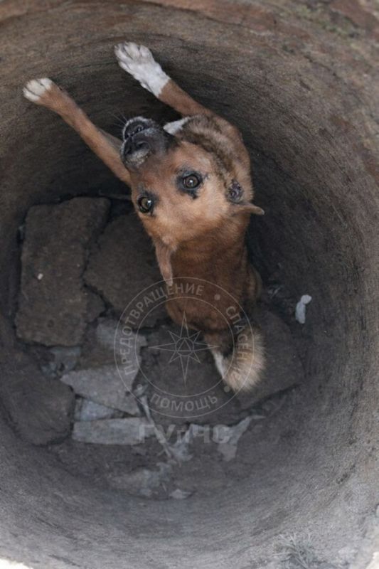 �� ���� � ����� �������, ������� ��������� �� �������� ������� �� ������������ ������� � ������������