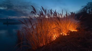 � ��������� ������ �� �������� � ������� ����� ��������� ��������� �������