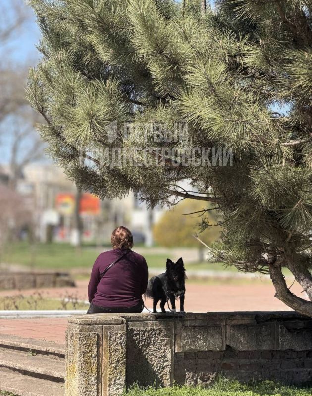 � ���� ������������� ������������ ��������� �������������