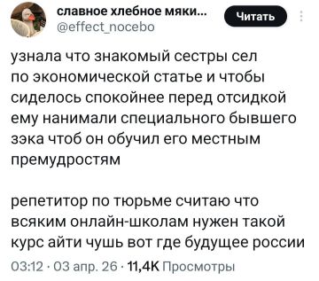 В России стали популярны «репетиторы по тюрьме»