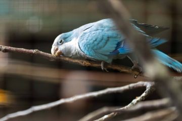 ��� � ��������� �������� ������ ��������?