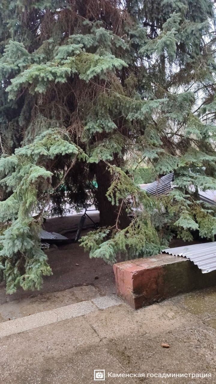 В Каменском районе устраняют последствия непогоды В Каменском районе устраняют последствия непогоды