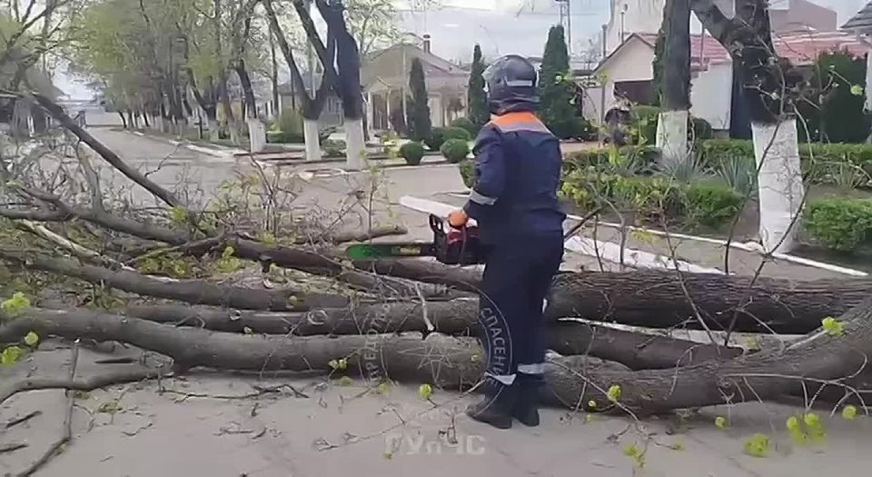 ����������� ��������. ����� ������� � ������� ����� � ���������� �������� ������� ���������� �����, ������� � �����