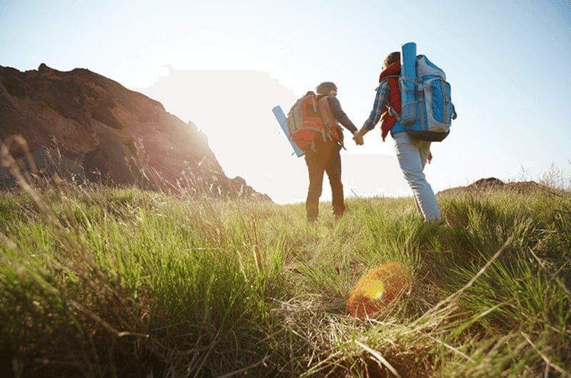 � ����� ����� ����������� �������� � ������������� ����� � 1,8 ���� �� ��������� � �������� � � 2,5 ���� �� ��������� � ������ 2024 ����