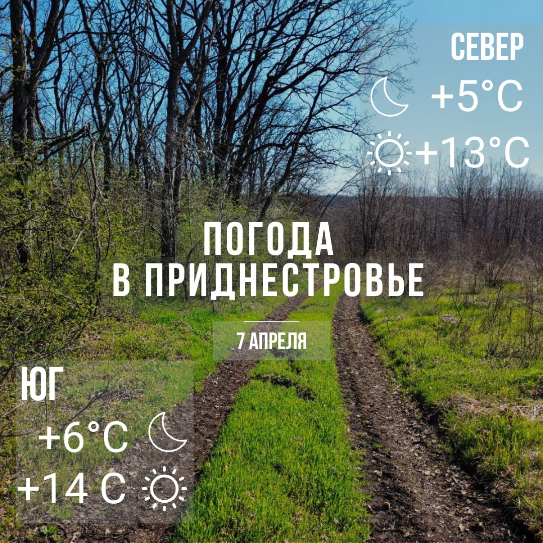 Днём – до +14°С, без осадков