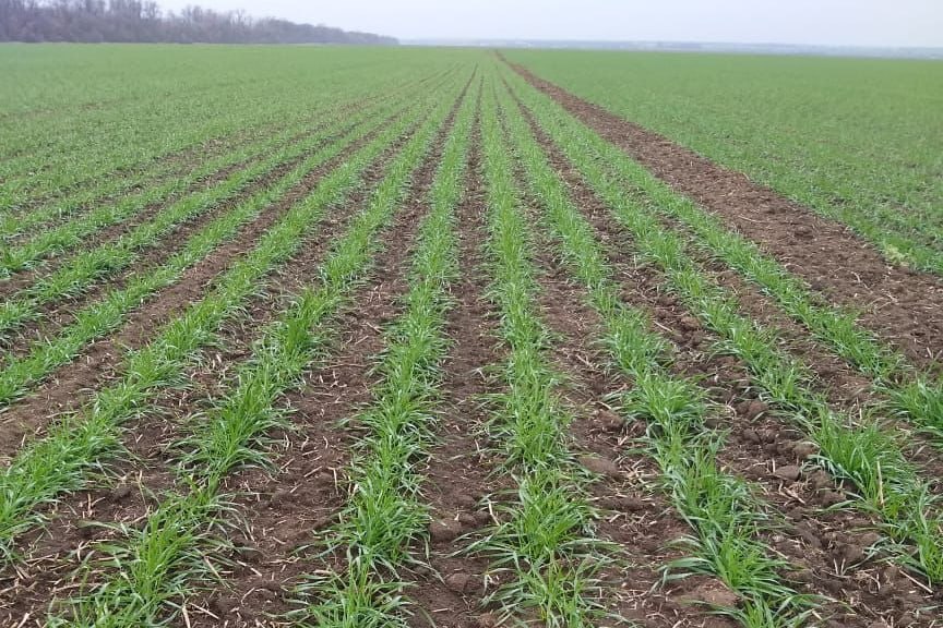 Соблюдение земельного законодательства под контролем