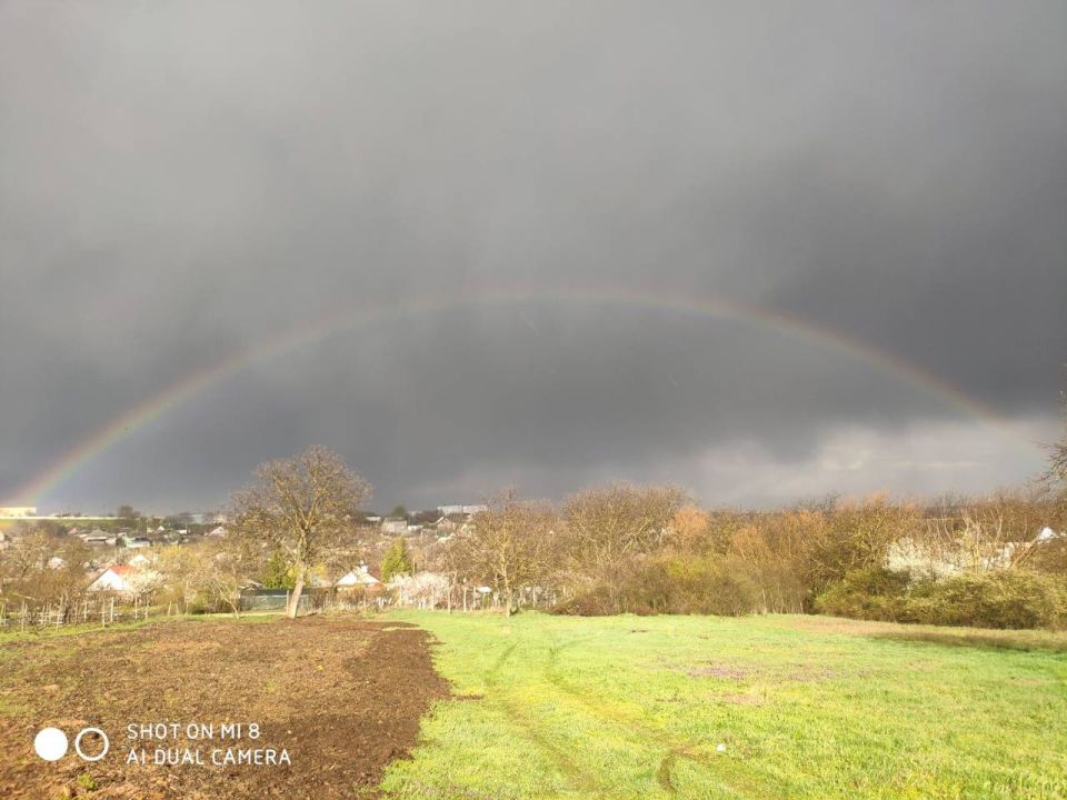 ������ ��� ��� ��������������