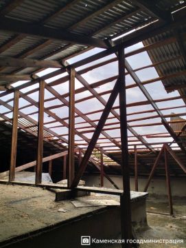 На фото — последствия непогоды в Каменке: повреждённая крыша главного корпуса политехнического техникума и упавшее дерево на территории водоканала