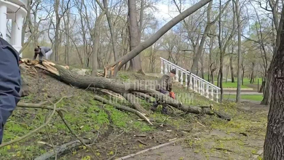 ��������� ������������� �������� � ������� ���� ������������