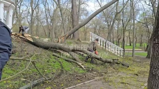 ��������� ������������� �������� � ������� ���� ������������