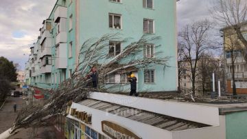 Последствия непогоды в Каменском и Рыбницком районах