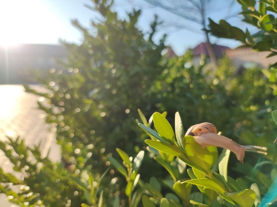 ���������� ������. � �������� �������� ����������� �� ����� ���������� +23�� � +24��