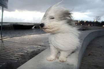 ��������� ��������������. ��������������� �������������: 7 ������ � ������� ��� �� ���������� ��������� �������� ������-��������� ����� �� 15 �/�