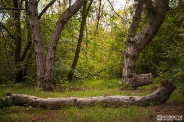 ������� � ������������� �� 2025 ��� ������������ ��������� ����������� ���