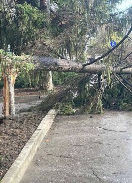 ��� ��������� ����� ����� 6 ��������� �����, ����� ������ � ����������